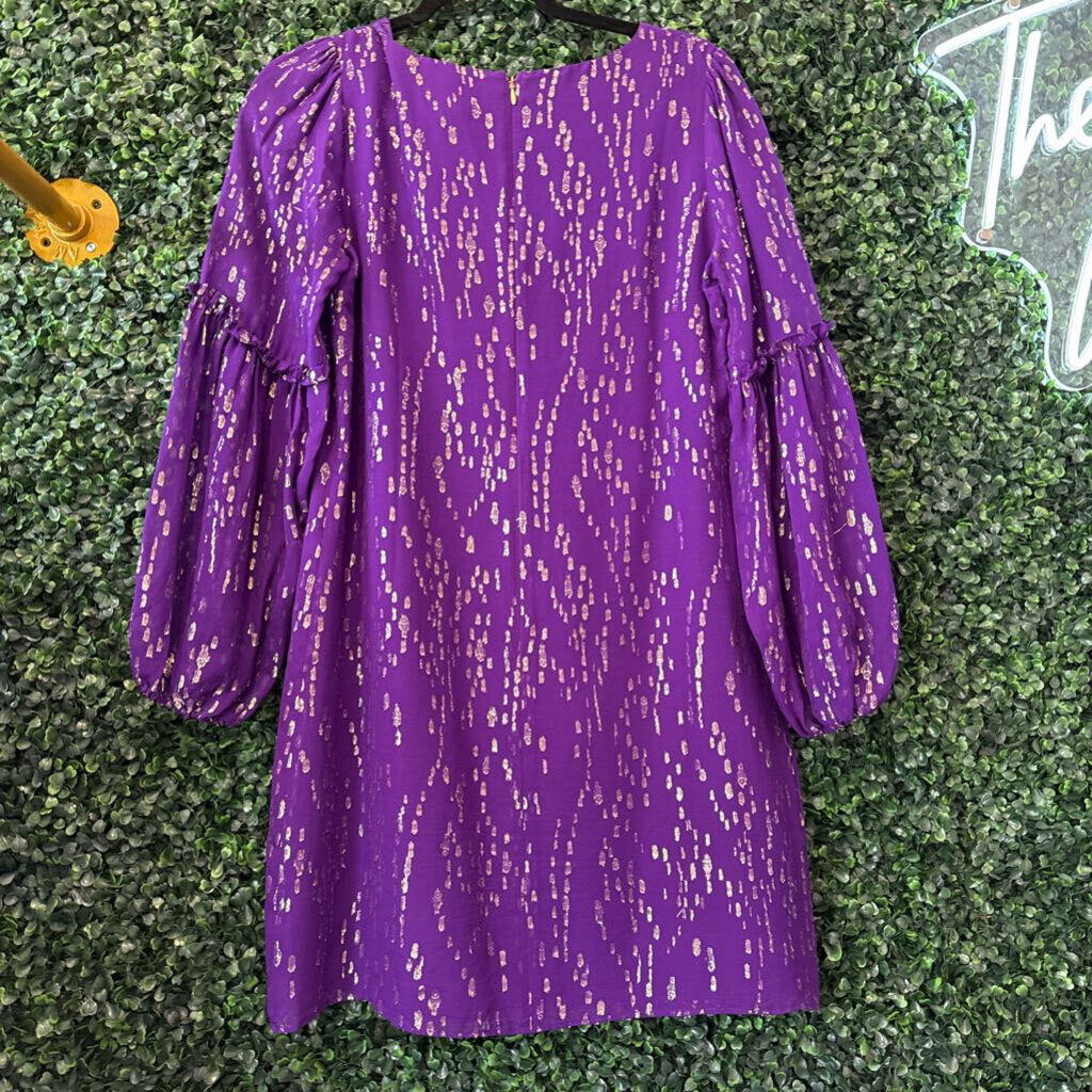 Long sleeve mid length glittery dress