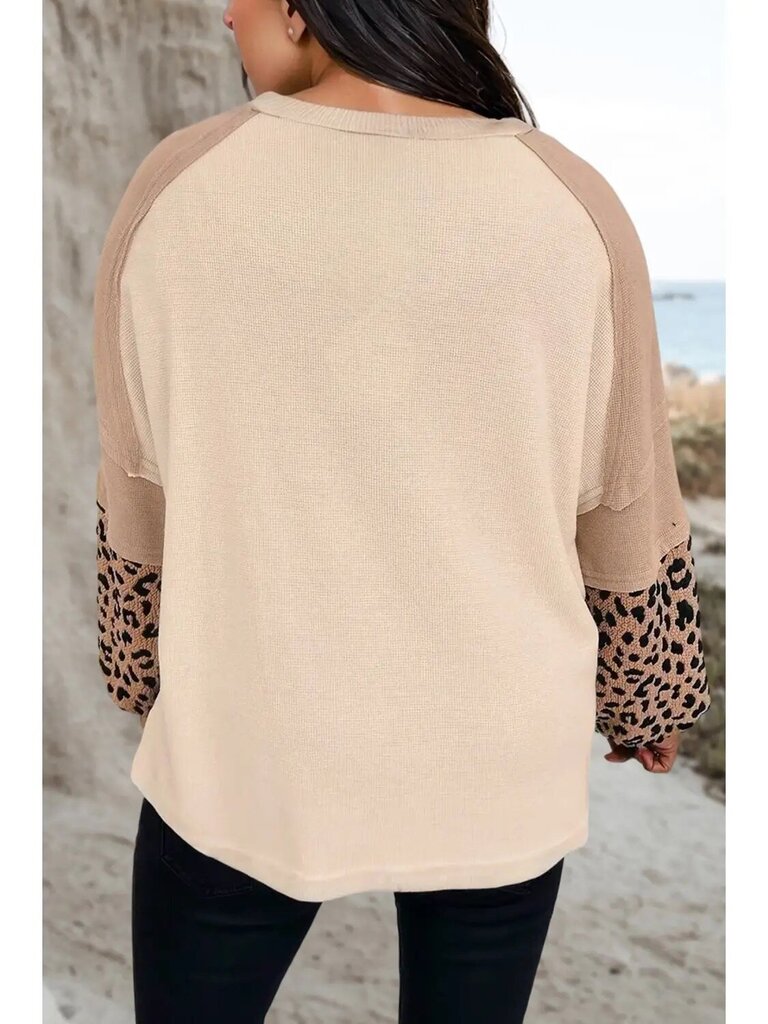 Leopard star patch long sleeve top
