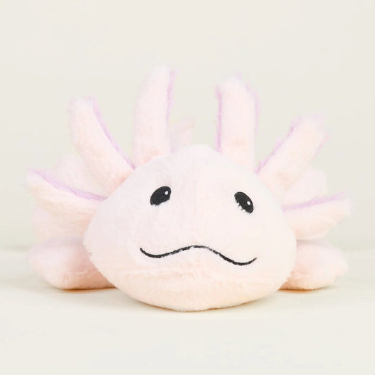 Axolotl
