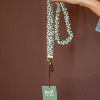 Elastic Lanyard