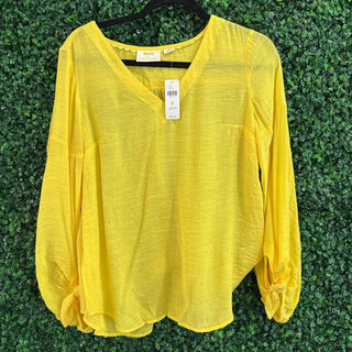 NWT V Neck blouse